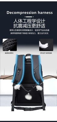 NEW BUSINESS BACKPACK ĐÁM ĐÁM ĐÁM ĐÁM ĐÁM ĐÁM ĐÁM ĐÁM ĐÁM ĐÁM ĐÁM ĐÁM ĐÁM ĐÁM ĐÁM ĐÁM ĐÁM ĐÁM ĐÁM