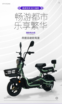 Xe điện với điều khiển từ xa chìa khóa hai người xe đạp điện mới pin xe