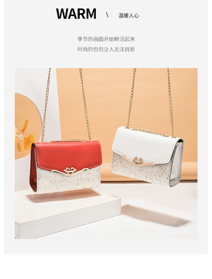 2024 NEW DIAGONAL LADY'S BAG FASHION phiên bản Hàn Quốc của LADY'S SACHEL BAG tất cả các vai BAG