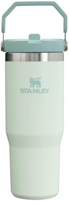 IceFlow thép không gỉ Tumbler với rơm, bình nước cách điện chân không cho nhà, văn phòng hoặc xe hơi, cốc tái sử dụng