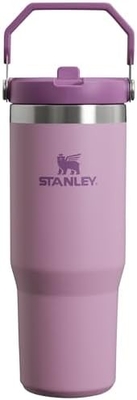 IceFlow thép không gỉ Tumbler với rơm, bình nước cách điện chân không cho nhà, văn phòng hoặc xe hơi, cốc tái sử dụng