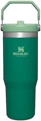 IceFlow thép không gỉ Tumbler với rơm, bình nước cách điện chân không cho nhà, văn phòng hoặc xe hơi, cốc tái sử dụng