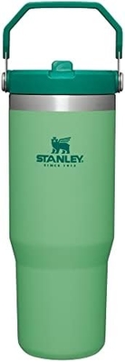 IceFlow thép không gỉ Tumbler với rơm, bình nước cách điện chân không cho nhà, văn phòng hoặc xe hơi, cốc tái sử dụng
