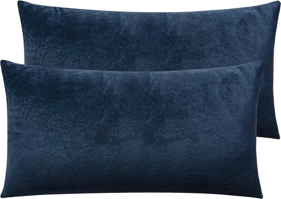 NTBAY 2 Pack Zippered Velvet King Cushioncase, siêu mềm và ấm cúng Luxury Fuzzy Flannel Cushioncase với Zipper, 20x36