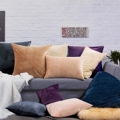 NTBAY 2 Pack Zippered Velvet King Cushioncase, siêu mềm và ấm cúng Luxury Fuzzy Flannel Cushioncase với Zipper, 20x36