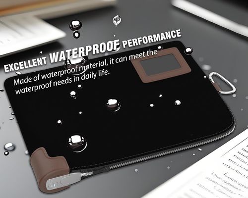 Túi đựng tiền mặt, Túi công chứng có khóa, 2 chìa khóa, Túi đựng tài liệu chống thấm nước, Túi đựng tiền có khóa kéo, 11.7 x 8.3 inch, Túi gửi tiền và Ví du lịch bảo vệ hộ chiếu, tiền mặt, séc, thẻ tín dụng